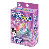 池田工業社 こどもラボ おうちで実験! モコモコ結晶の山 890 1個