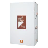 V S[15 t[Mtg{bNX 4531599501150 1Zbg(1×10 v10)iij