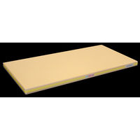 長谷川化学工業 抗菌 一次加工用高耐久まな板 精肉水産向け600×350mm イエロー UDK26-6035Y 1枚（直送品）