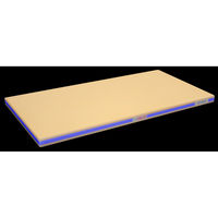 長谷川化学工業 抗菌 一次加工用高耐久まな板 精肉水産用1200×450mm ブルー UDK36-12045B 1枚（直送品）