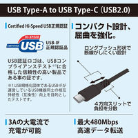 オーム電機 A TO C L10CASーK 01-7131  1個（直送品）