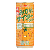 光食品 有機みかんサイダー+レモン 1箱(30缶入)（直送品）
