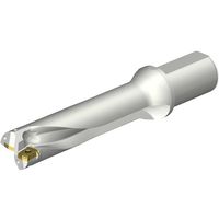 サンドビック SANDVIK コロドリルDS20刃先交換式ドリル(465) DS20-D4500L50-04 1本 351-4149（直送品）