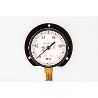高島計器 高島 一般蒸気用圧力計(B枠立型・φ75)圧力レンジ0.0~0.6MPa G3/8 102306040 1個 552-6575（直送品）