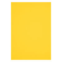 アスクル 色画用紙 ひまわり 四つ切り 1袋(100枚入) オリジナル