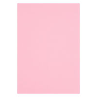 アスクル 色画用紙 もも 四つ切り 1袋(100枚入) オリジナル