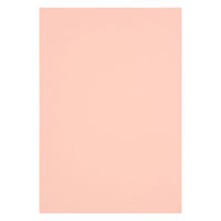 アスクル 色画用紙 うすもも 四つ切り 1袋(100枚入) オリジナル