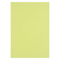 アスクル 色画用紙 やなぎ 四つ切り 1袋（100枚入） オリジナル