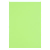 アスクル 色画用紙 わかくさ 四つ切り 1袋(100枚入) オリジナル