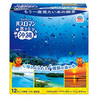 入浴剤 バスロマン 旅する沖縄 バスソルト 4種アソート 1箱（12包入） アース製薬