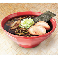 サニーフーズ 「麺家いろは」富山ブラック黒醤油ラーメン 47C-408 1セット（直送品）