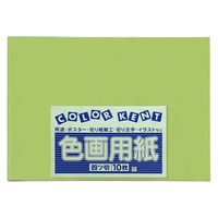 大王製紙 色画用紙 四切 フレッシュカラー きみどり 1袋（10枚）