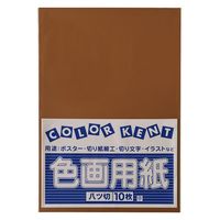 剤 Fp  tbVJ[ Ⴂ 1Zbgi50F10×5j