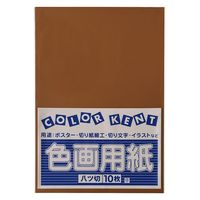 大王製紙 色画用紙 八切 フレッシュカラー ちゃいろ 1セット（50枚：10枚×5）