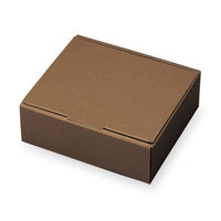 石渡 ギフト箱 チョコブラウニー S 08931 1ケース(100個)（直送品）