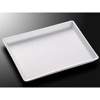 中央化学 発泡トレー FS