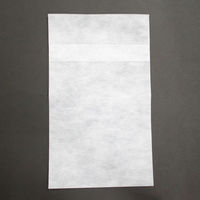 東京メディカル 調理用品 不織布ダシ袋 ヒモ付き 小 1571480 1ケース(1000個(100個×10))（直送品）