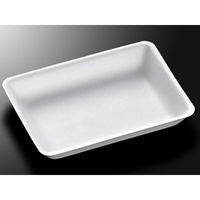 中央化学 発泡トレー FS-A2 (S) 169540 1ケース(3000個(50個×60))（直送品）