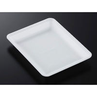 中央化学 発泡トレー CN20_1