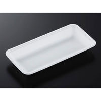 中央化学 発泡トレー CN 25-12F (L) 178574 1ケース(1800個(100個×18))（直送品）