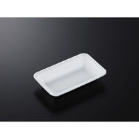 中央化学 発泡トレー CN 20-12G (L) 219394 1ケース(2100個(100個×21))（直送品）