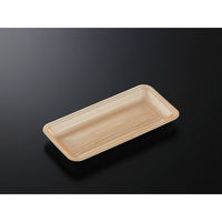 中央化学 発泡トレー CN 25-12E 木曽内 (L) 234484 1ケース(1800個(100個×18))（直送品）