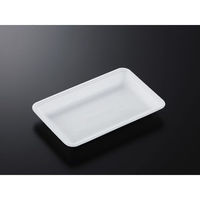 中央化学 発泡トレー CN 25-16F (L) 235812 1ケース(1200個(100個×12))（直送品）