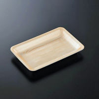 中央化学 発泡トレー CN 25-16F木曽内L 235986 1ケース(1200個(100個×12))（直送品）