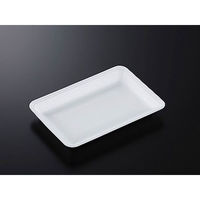 中央化学 発泡トレー CN 25-17E (L) 236075 1ケース(1200個(100個×12))（直送品）