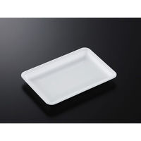 中央化学 発泡トレー CN 25-17F (L) 236588 1ケース(1200個(100個×12))（直送品）