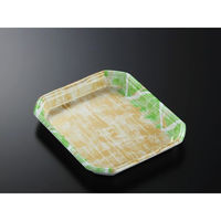 中央化学 発泡トレー CX20-24A 四織GN内 身 (50) 348466 1ケース(450個(50個×9))（直送品）