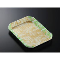 中央化学 発泡トレー CX20-27A 四織GN内 身 (50) 349639 1ケース(450個(50個×9))（直送品）