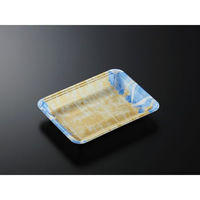 中央化学 発泡トレー CN 20-15F 四織B内 (L) 351015 1ケース(1800個(100個×18))（直送品）