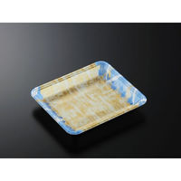 中央化学 発泡トレー CN 20-17FF 四織B内L 351155 1ケース(1500個(100個×15))（直送品）