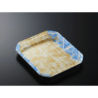 中央化学 発泡トレー CX20-24A 四織B内 身 (50) 351437 1ケース(450個(50個×（直送品）