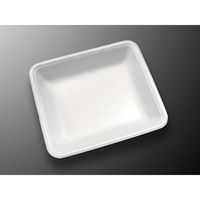 中央化学 発泡トレー CN 20-17GG 397786 1ケース(1200個(50個×24))（直送品）