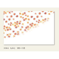 アーテック 尺五まっと花雅