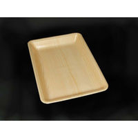 中央化学 発泡トレー CN 20-28F 木曽内 686808 1ケース(900個(100個×9))（直送品）