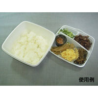 中央化学 弁当容器 CF ランチBOX-1 身 138545 1ケース(800個(50個×16))（直送品）