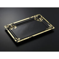 中央化学 刺身容器 DX 角皿 特4 花盛MT-BK 身 193649 1ケース(100個(25個×（直送品）