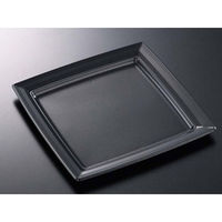 中央化学 軽食容器 CT 沙楽 K30-30 BK 身 22137 1ケース(160個(20個×（直送品）