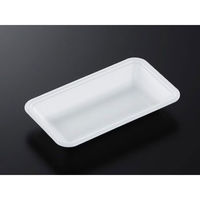 中央化学 発泡トレー CN 20-11F (L) 387985 1ケース(2400個(100個×24))（直送品）