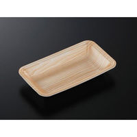 中央化学 発泡トレー CN 20-11F 木曽内 (L) 214510 1ケース(2400個(100個×24))（直送品）