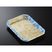 中央化学 発泡トレー CX20-27A 四織B内 身 (50) 349522 1ケース(450個(50個×9))（直送品）