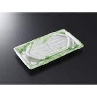 中央化学 刺身容器 漁台20-11 凍風GN 身 00740186 1ケース(800個(50個×16))（直送品）