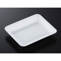 中央化学 発泡トレー CN 20-16F (L) 177246 1ケース(1600個(100個×16))（直送品）