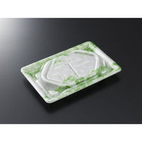 中央化学 刺身容器 漁台17-11 凍風GN 身 00744029 1ケース(1200個(50個×24))（直送品）