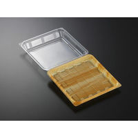 中央化学 フードパック パノラックV 20-20 男鹿 145243 1ケース(600個(50個×（直送品）