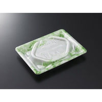 中央化学 刺身容器 漁台15-11 凍風GN 身 00744023 1ケース(1200個(50個×24))（直送品）