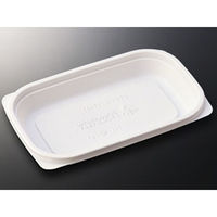 中央化学 惣菜容器 CT デリカン 17-11 身 T 146613 1ケース(1200個(50個（直送品）